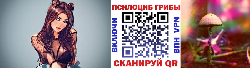 купить наркотики цена  Выборг  Галлюциногенные грибы Psilocybine cubensis 